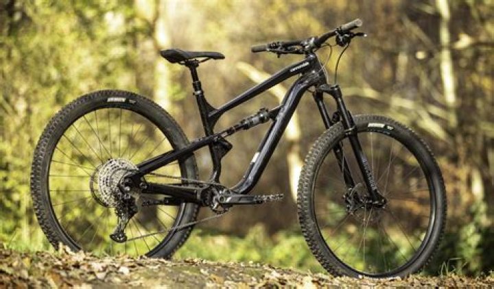 Are Giants good mountain bikes?