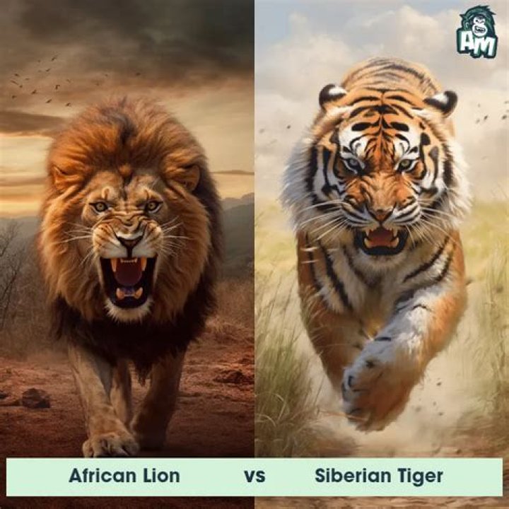 Are lion and tiger skeletons the same?