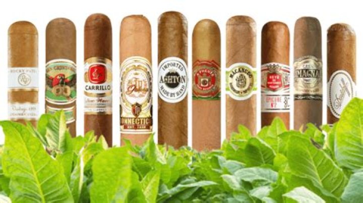 Are Nub cigars good?