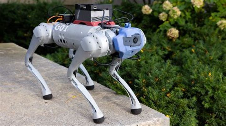 Are robot dogs better than real dogs?