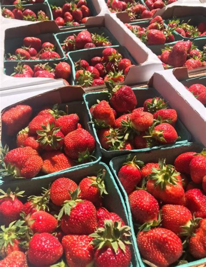 Are strawberries ready to pick in Michigan?