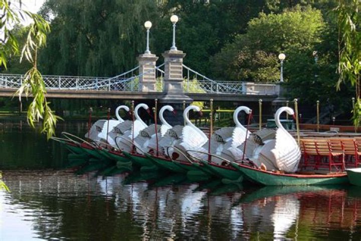Are the Swan Boats still running in Boston?