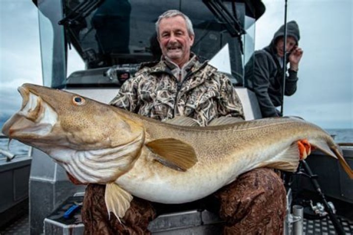 Can I keep cod in Maine?