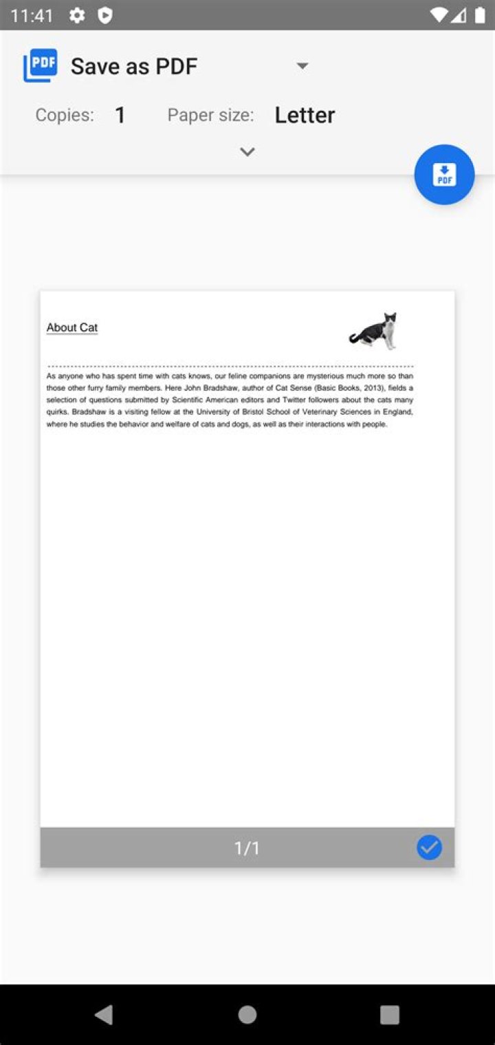 Can Word 2003 save as PDF?