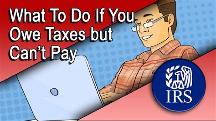Can you become a citizen if you owe taxes?