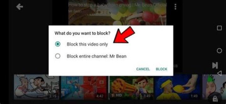 Can you block certain videos on YouTube?
