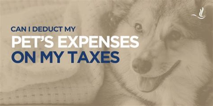 Can you deduct pet care on taxes?