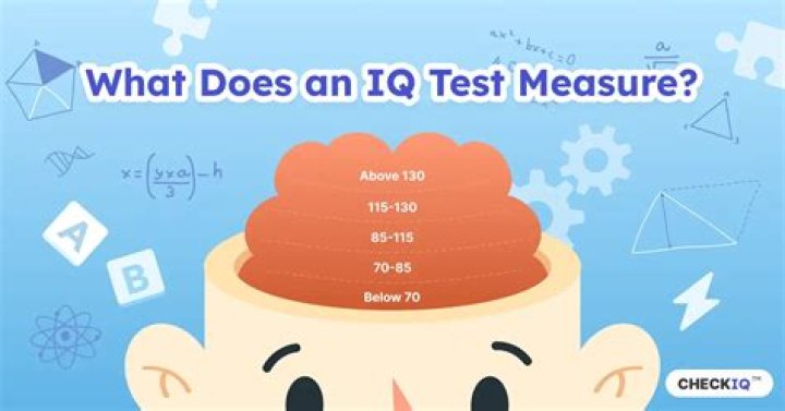 Can you measure the IQ of a 4 year old?