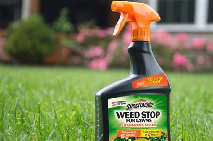 Can you use crabgrass preventer with new seed?