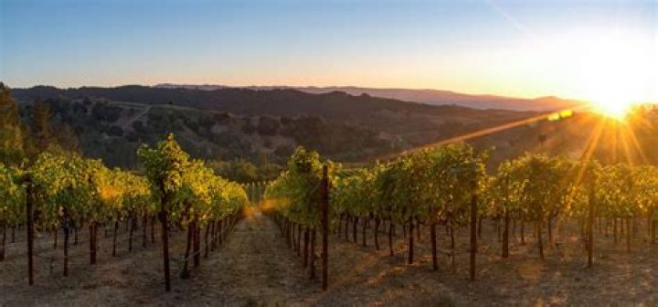 Do any wineries in Napa offer free tastings?
