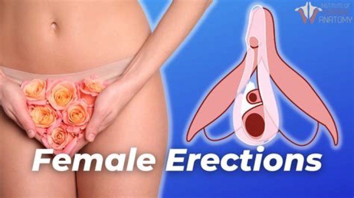 Do females have urogenital tract?