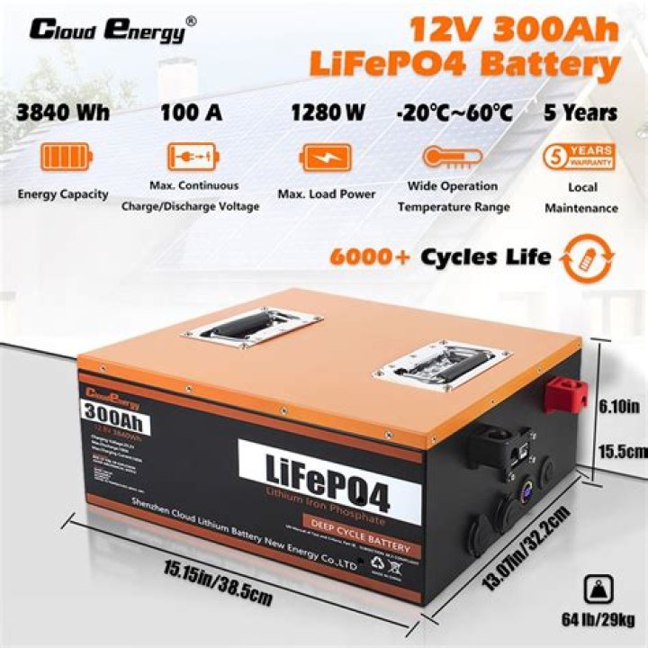 Do LiFePO4 batteries need BMS?
