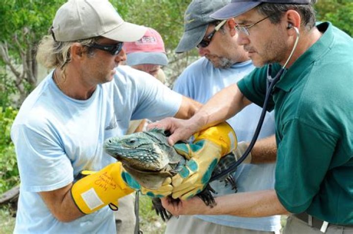 Do zoologists make good money?