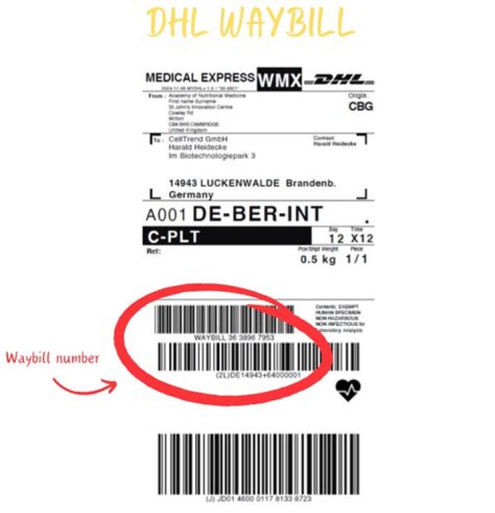 Does DHL do fulfillment?