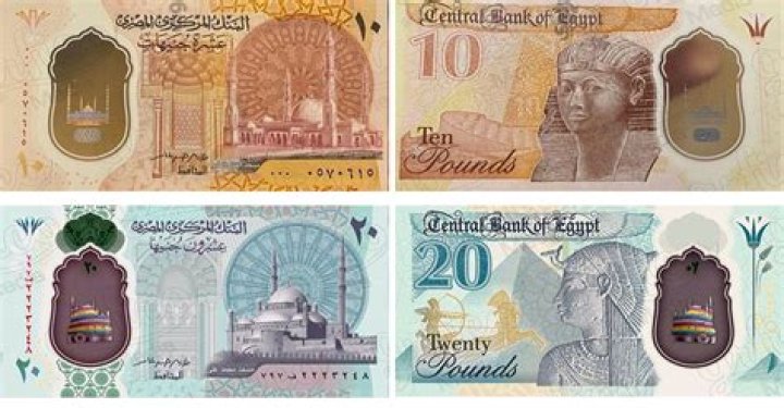 Does Egypt use US dollars?