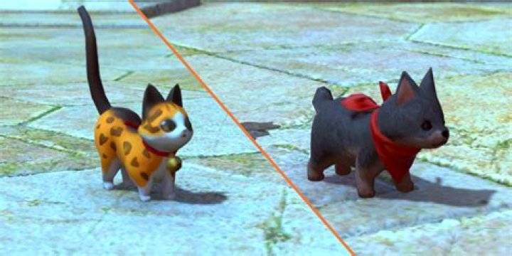 Does the Coeurl kitten grow?