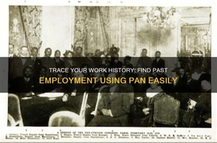 How can I find my past employment history?