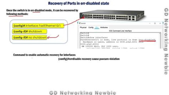 How do I clear Cisco err disabled?