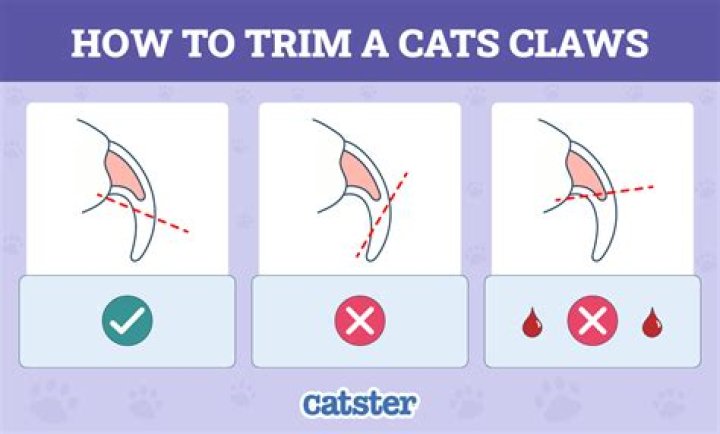 How do I clip a specific time on twitch?