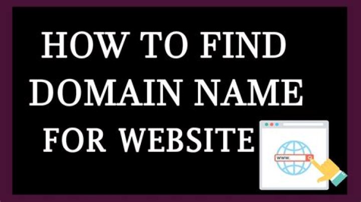 How do I find the name of a website?