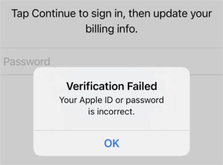 How do I fix iPad verification failed?