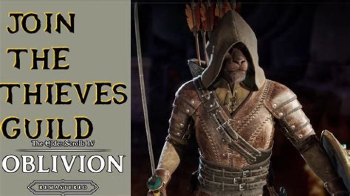 How do I get the Thieves Guild Hood?