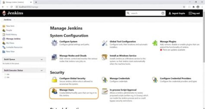 How do I manage users in Jenkins?
