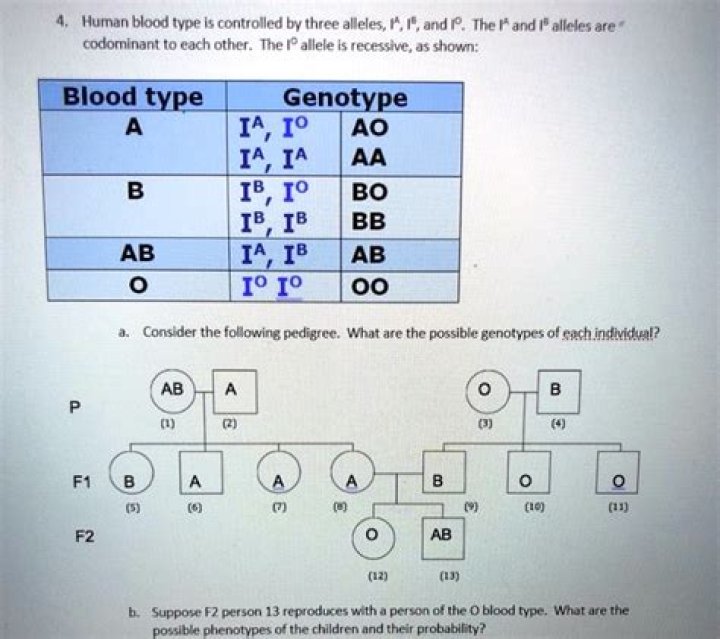 How do siblings get different blood types?