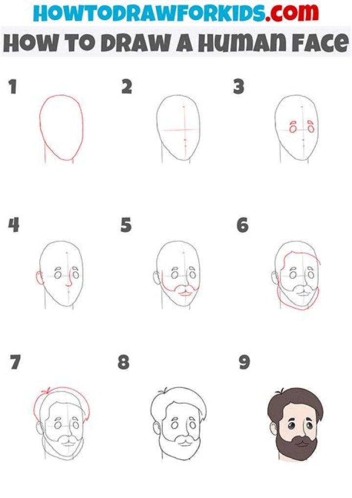 How do you draw a human face step by step?