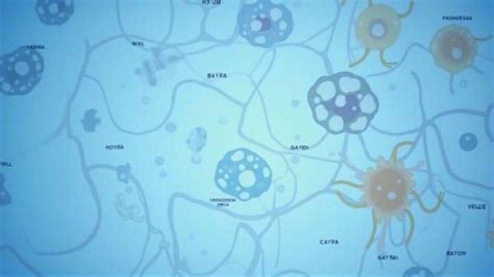 How do you extract hop oil?