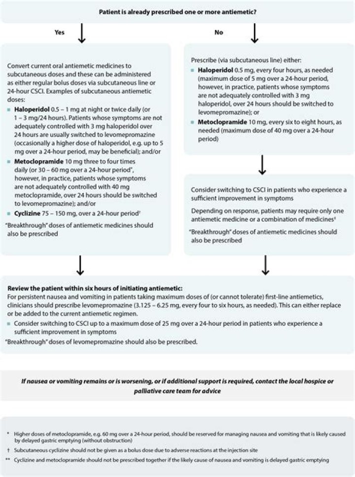 How do you manage nausea and vomiting in palliative care?
