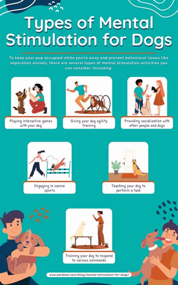 How do you physically mentally stimulate a dog?