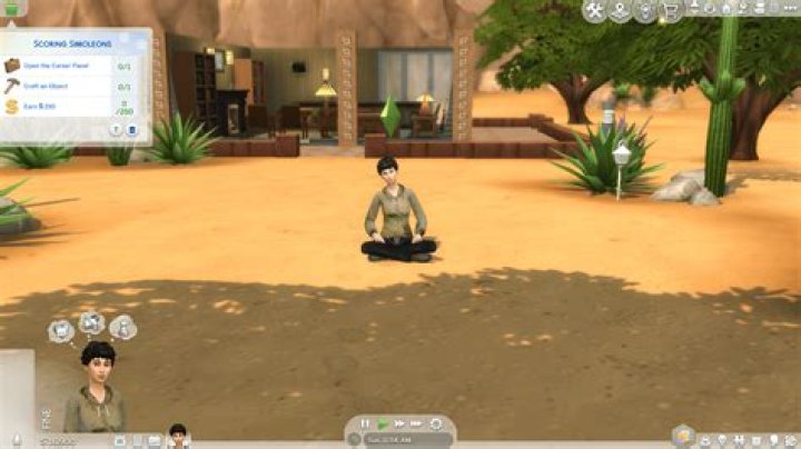 How do you play a homeless Sim?