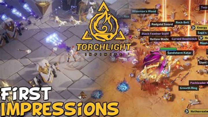 How do you use the console in Torchlight 2?