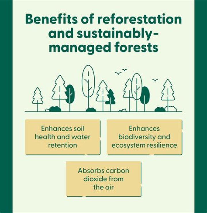 How does technology help reforestation?