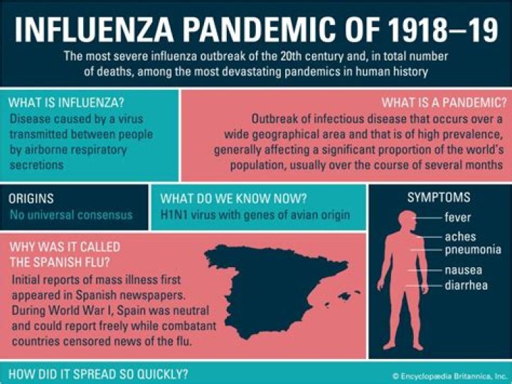 How long did the 1918 pandemic last Wikipedia?