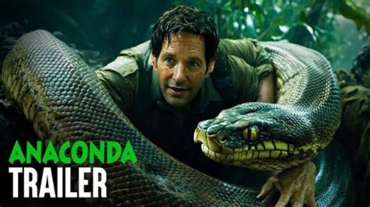 How many Anaconda stores are there in Australia?