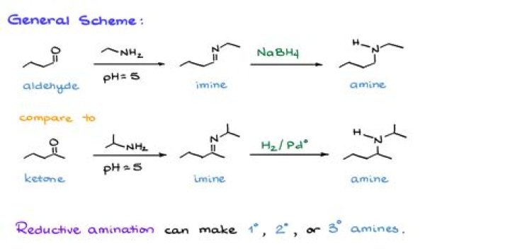 How many atoms does 2-Heptanone have?