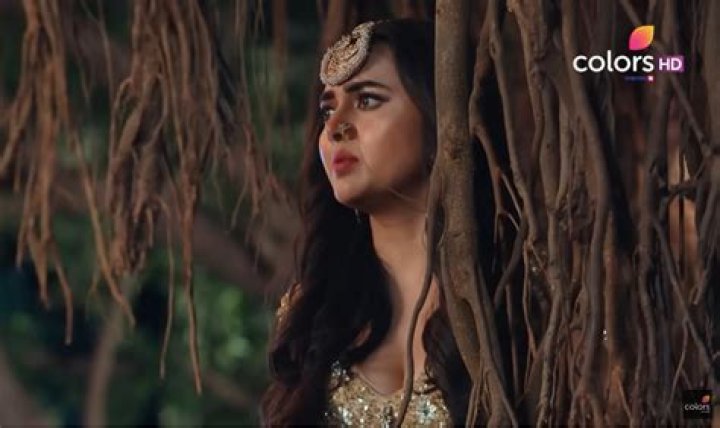 How many episodes are there in Naagin ek naye Rang mein?
