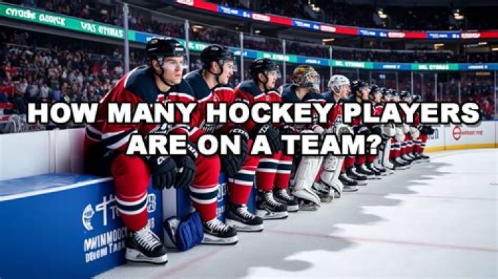 How many players are on a hockey team?