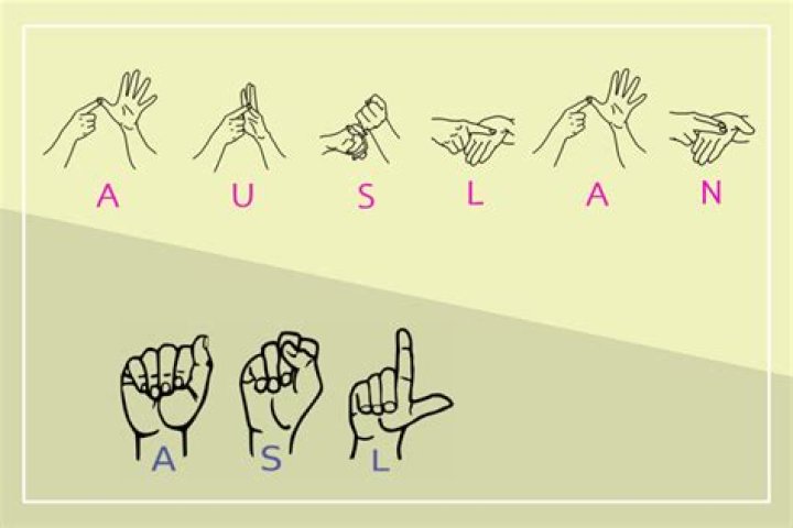 How many signs are there in Auslan?