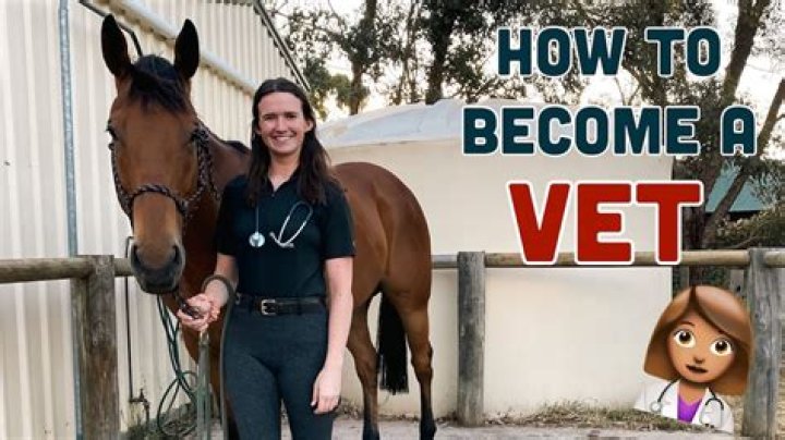 How many years does it take to become an equine vet?
