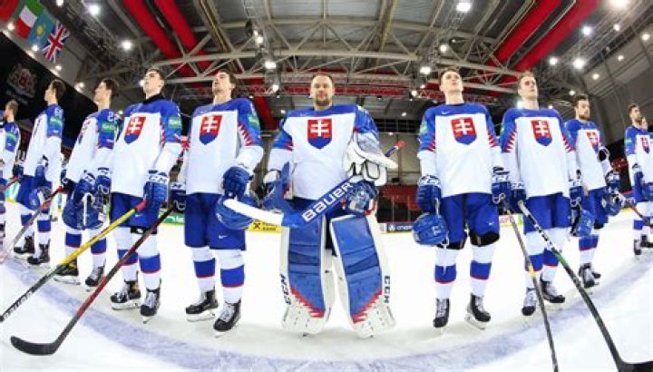 How much do Slovakian hockey players make?