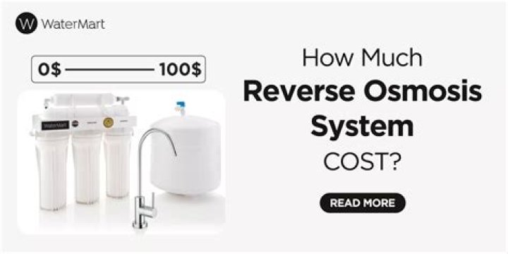How much does a reverse osmosis system cost?