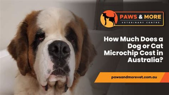 How much does it cost to Desex a dog Brisbane?