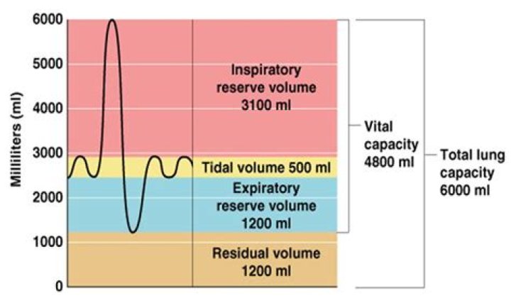 How residual volume is measured?