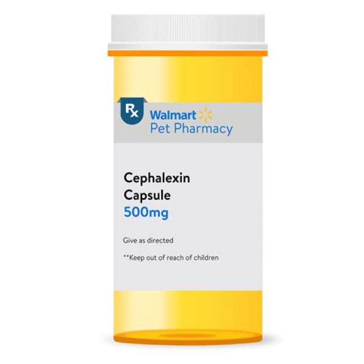 Is Cephalexin 500mg safe for cats?