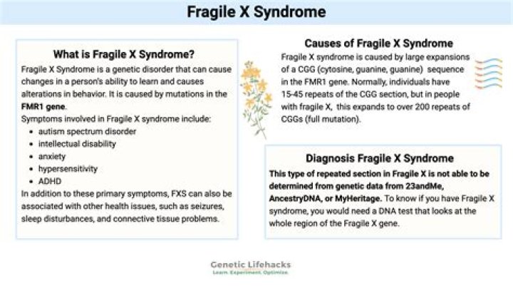 Is Fragile X syndrome only in females?