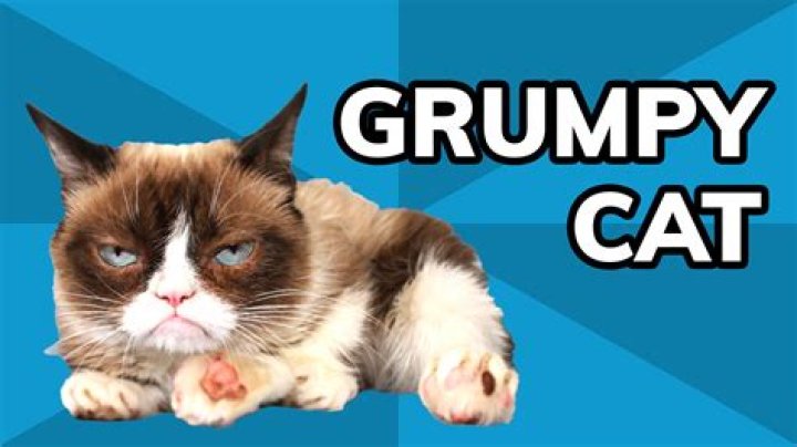 Is Grumpy Cat copyrighted?