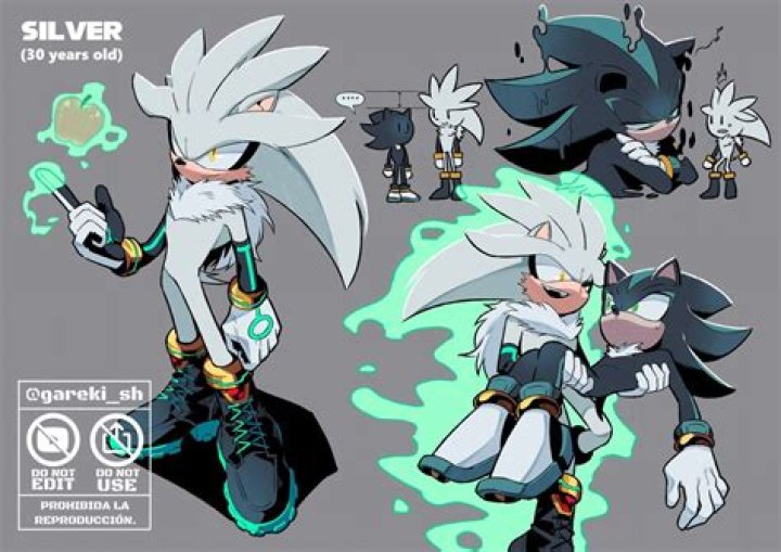 Is Silver Sonic a bad guy?